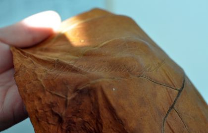 rolling cigars at home
